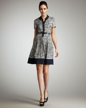  Stefania Printed Silk Shirtdress 
