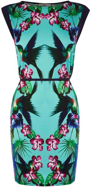 Oasis Hummingbird Tshirt Dress - Lyst