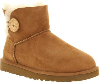  Mini Bailey Button Chestnut Suede 