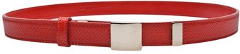  Snake Skin Belt 