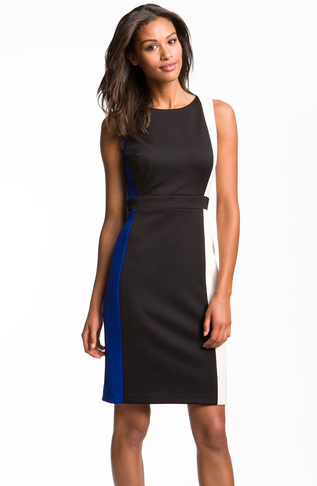 Maggy London Sleeveless Vertical Colorblock Sheath Dress in Blue (black