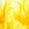 Mango Mango Dip Dye Dress in Yellow - Lyst