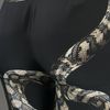 Lanvin Snake Trouser in Black (snake) - Lyst