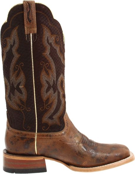 ariat nitro