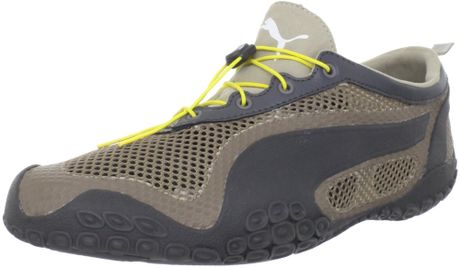 fossil puma