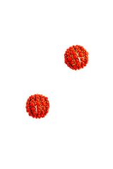 J.Crew Berry Earrings