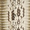Christian Louboutin Artemis Watersnake Skin Bag in Beige (silver) - Lyst