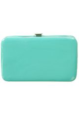 Topshop Mint Hard Phone Purse
