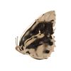 Valentino Brooches in Gold - Lyst