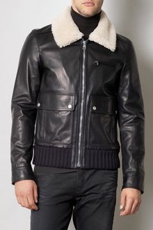 Gucci Horse Leather Bomber Jacket - Lyst