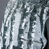 Balenciaga Tree Print Jumper in Gray (grey) - Lyst