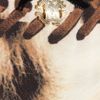 Roberto Cavalli Leopard and Whipstitchprint Crepe Briefs in Animal - Lyst