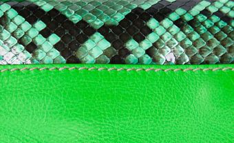 Meredith Wendell Grasshopper Bag - Lyst