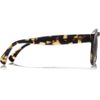 Illesteva Leonard Roundframe Acetate Sunglasses in Brown (black) - Lyst