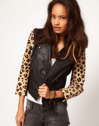ASOS Collection Asos Leopard Sleeve Biker - Lyst