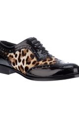 Dolce & Gabbana Leopard Print Brogues