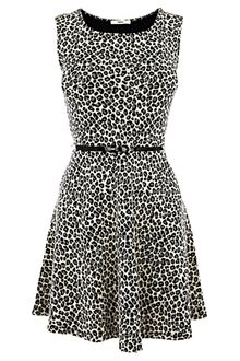 Oasis Oasis Animal Jacquard Dress Multi - Lyst