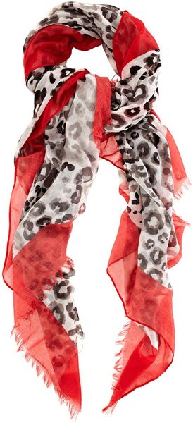Oasis Border Animal in Animal (multi-coloured) - Lyst