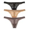 Calvin Klein Thong Brief Encounters in Brown (wild flower jelly bean) - Lyst
