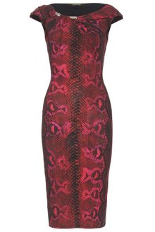 Roberto Cavalli Snake Printed Stretch Dress - Lyst