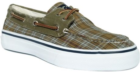 sperry olive green