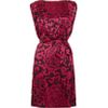 Temperley London Dianthus Shift Dress in Pink (floral) - Lyst