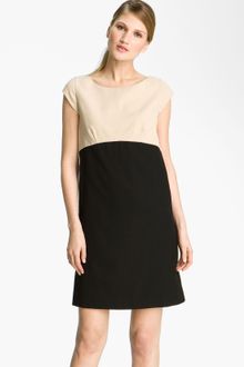 Black Shift Dress on Spade Olsen Colorblock Fit Flare Dress In Black  Cream  Black    Lyst