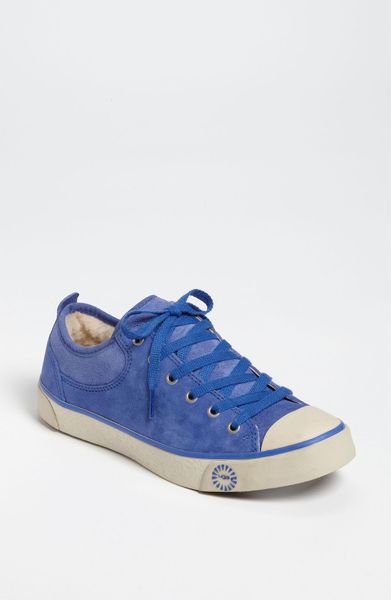 ugg evera sneakers ugg evera sneakers