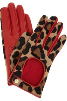 Agent Provocateur Leopardprint Calf Hair Driving Gloves - Lyst