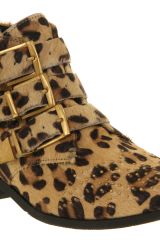 Office Nighthawk Stud Leopard Pony