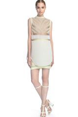 Alexander Wang Highlighter Suspension Detail Pencil Skirt