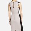 Bcbgmaxazria Colorblocked Sheath Dress in Beige (light stone combo) - Lyst