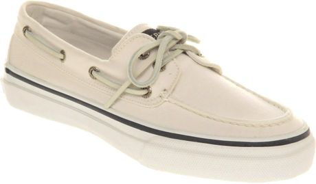 sperry canvas white