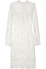 Dolce & Gabbana Scalloped Lace Dress