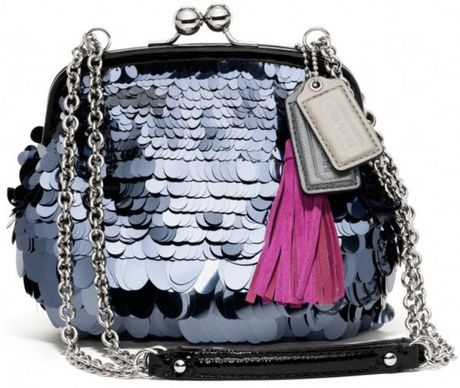 Coach Poppy Sequin Pailette Frame Bag in Silver (silversilver) Coach Poppy Sequin Pailette Frame Bag in Silver (silversilver)
