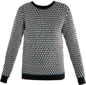 Jonathan Saunders Oval Knit Sweater - Lyst