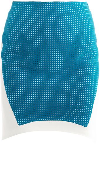 Antonio Berardi Perforated Panel Skirt - Lyst