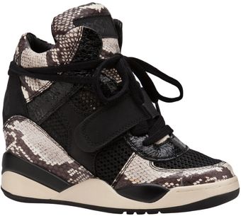 Ash Funky Wedge Sneaker - Lyst
