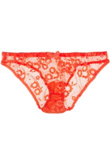 Agent Provocateur Brittnie Embroidered Tulle Briefs - Lyst