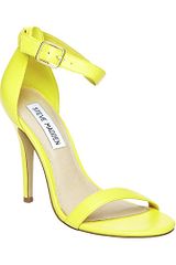 Steve Madden Realove