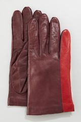 Diane Von Furstenberg Colorblock Leather Gloves