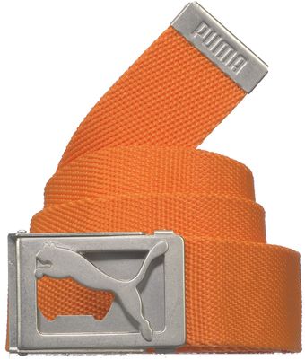 Puma Fade Web Belt - Lyst