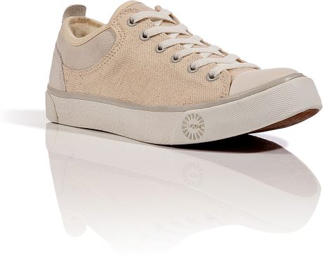 uggs sneakers evera beige uggs sneakers evera beige