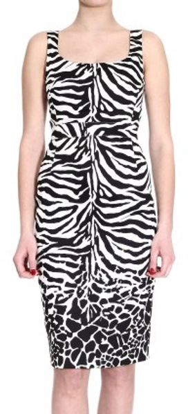 Frankie Morello Zebra Print Cotton Sheath Dress - Lyst