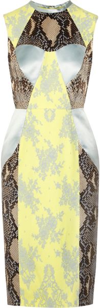 Erdem Brynn Python-Print Satin and Lace Dress - Lyst