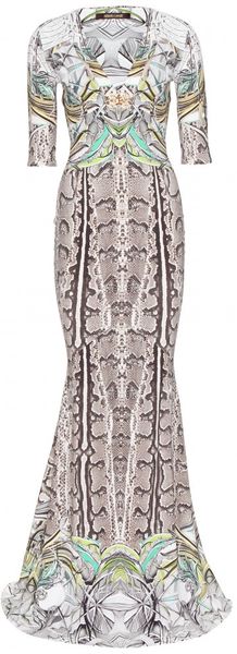 Roberto Cavalli New England Floor-Length Print Gown - Lyst