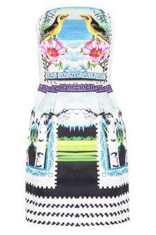 Mary Katrantzou Strapless Bird Puff Dress - Lyst