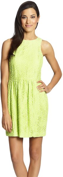 Cynthia Steffe Sleeveless Lace Fit Flare Dress - Lyst
