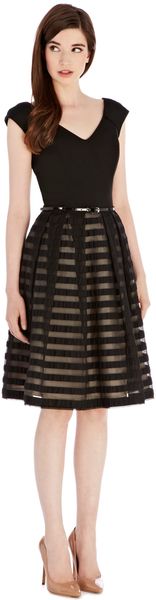 Coast Roxy Dress - Lyst