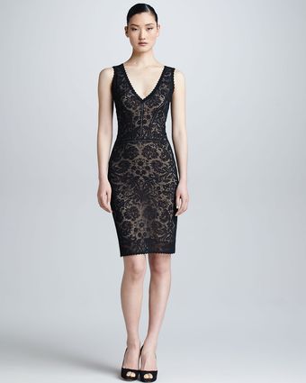 Zac Posen Sleeveless Lace Vneck Dress - Lyst
